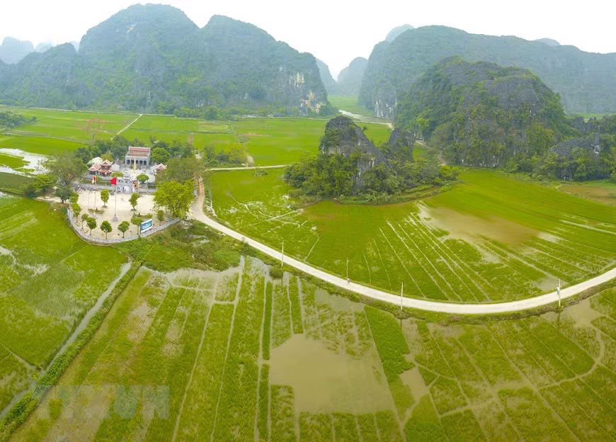  Le temple Thai Vi, situé au milieu des champs de riz, est un site touristique attrayant. 