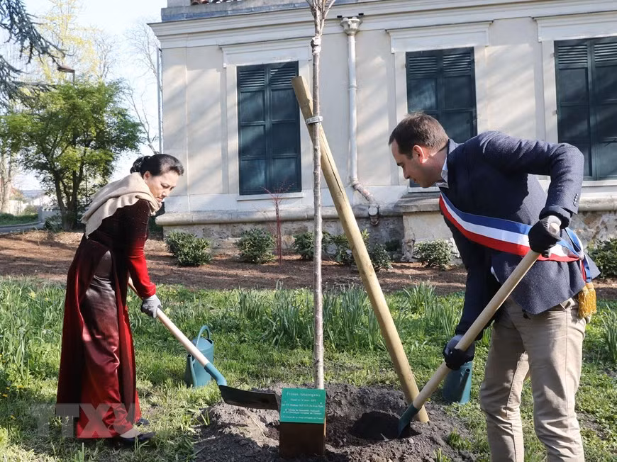  La présidente de l’Assemblée nationale du Vietnam, Nguyen Thi Kim Ngan, plante un arbre à l’espace dédié à la mémoire de Ho Chi Minh. 