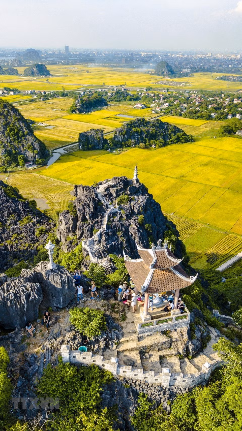  Un coin de Ninh Binh illuminé des regards rêveurs, la rivière coulant entre des rizières de couleur or. 