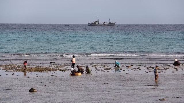 Habitants cherchant de la nourriture au coucher du soleil.