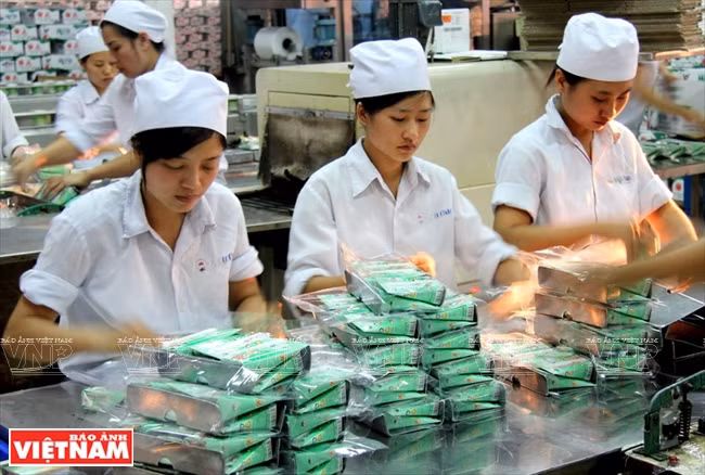 Emballage de produits laitiers à Môc Châu. 
