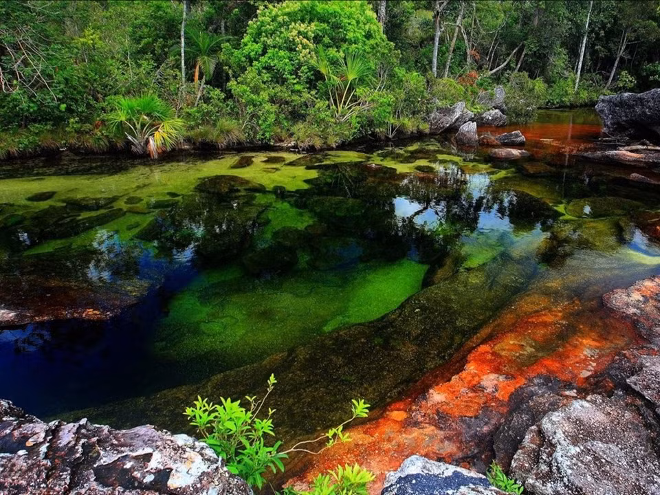 La Cano Cristales (ou rivière des cristaux en espagnol) est aussi parfois appelée l’"arc-en-ciel liquide", tant ses couleurs sont changeantes. Les teintes roses et pourpres de la rivière sont dues à une plante, la Macarenia clavigera. ​Credit photo : BBC Travel 