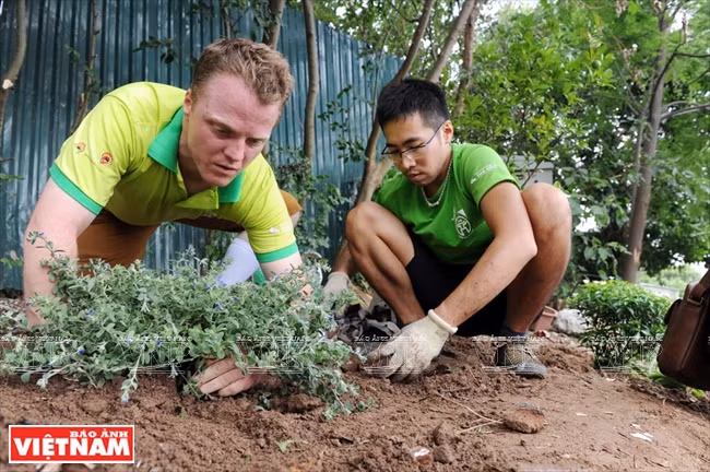 Le terrain a été nettoyé puis des arbres ont été plantés. 