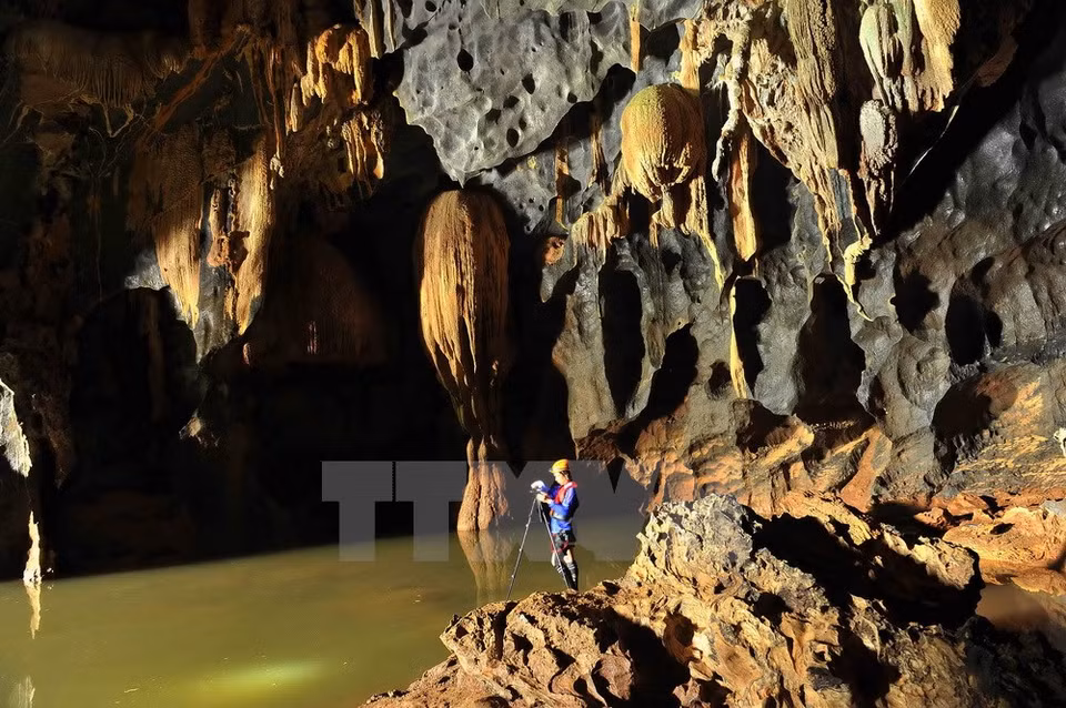 Des stalactites aux formes variées. Photo : Minh Duc/ VNA 
