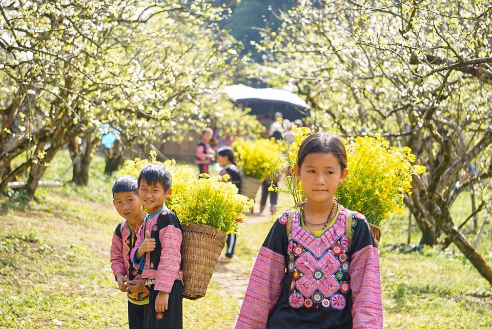 La vallée des pruniers de Na Ka est toujours une destination touristique de prédilection à chaque Têt et au printemps. 