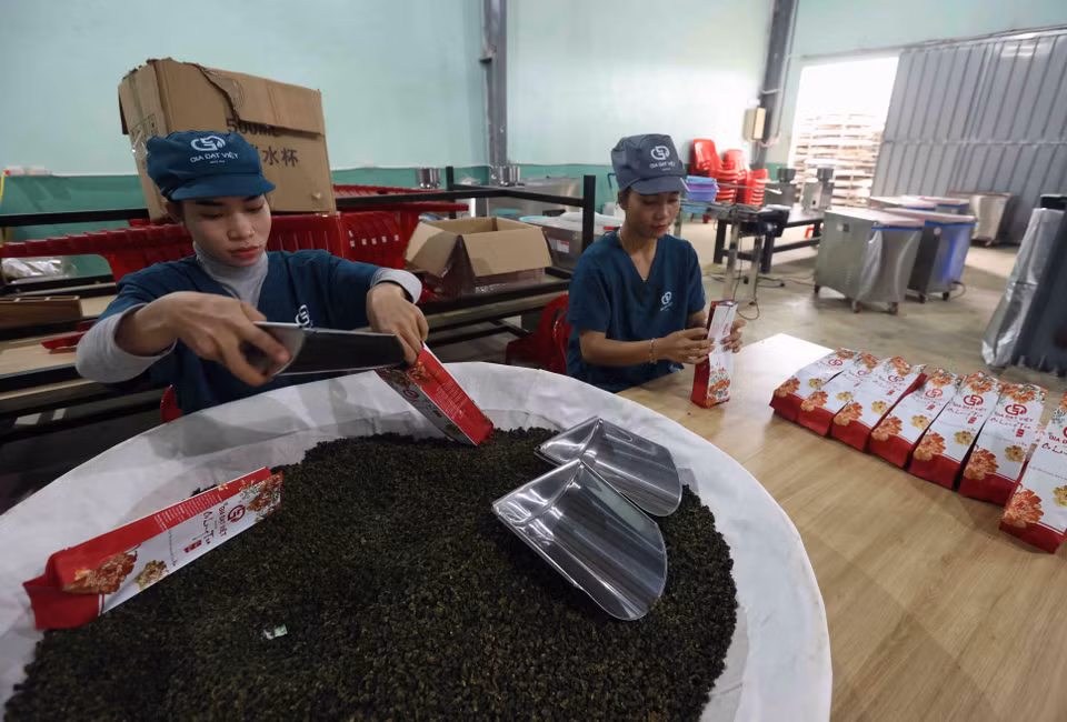 Emballage du thé O-long à la Sarl Gia Dat Viet.