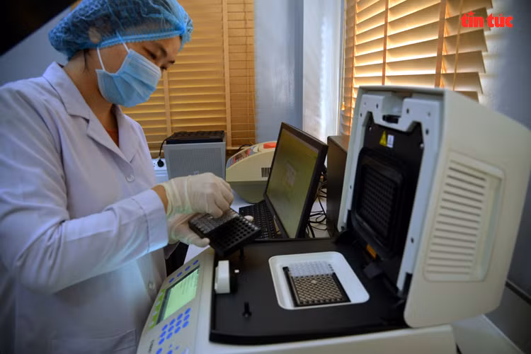 Automate de détection du coronavirus. Photo: VNA