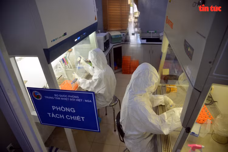 La capacité moyenne des laboratoires mobiles au Sud est de 800 échantillons par jour. Photo: VNA