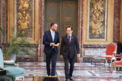 Le ministre des Affaires étrangères Le Hoai Trung (droite) rencontre le vice-Premier ministre et ministre belge des Affaires étrangères, Maxime Prévot. Photo: VNA