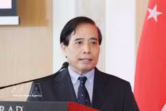 Le professeur Vu Minh Khuong, de l’Université nationale de Singapour. Photo: VNA