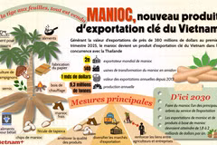 Manioc, nouveau produit d’exportation clé du Vietnam