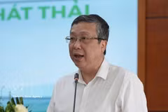 Hoang Trung, vice-ministre de l’Agriculture et de l'Environnement. Photo: VNA