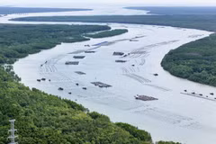 Cân Gio: entre préservation de la biodiversité et croissance économique verte