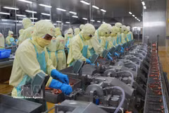 Au 15 octobre 2026, le montant cumulé des échanges de marchandises du Vietnam, à l’exportation comme à l’importation, atteignait 945 milliards de dollars, en hausse de 31,4 % sur un an. Photo : VNA