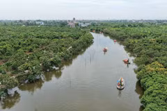 Zone écotouristique de Dong Man. Photo: thanhha.haiphong.gov.vn