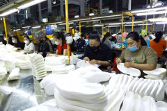Production de semelles de chaussures chez la société Kepai, entreprise à capitaux japonais, dans le parc industriel de Tan Kim, province de Tay Ninh. Photo : VNA