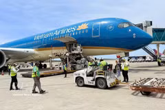 Vols spéciaux vers le Venezuela : la course contre la montre des équipes de Vietnam Airlines 