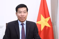 Le vice-ministre des Affaires étrangères Nguyen Manh Cuong. Photo: ministère des Affaires étrangères
