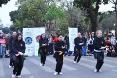 Des praticiens de Thuy Phap se produisent dans l'espace piétonnier au tour du lac Hoàn Kiêm (Epée restituée) au cœur de Hanoï. Photo: Vietnam+