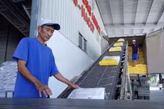 Le Vietnam prévoit d’exporter environ 7 millions de tonnes de riz en 2026. Photo: thanhnien.vn