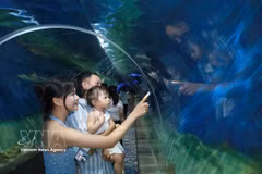 Des touristes apprécient de découvrir la vie marine au musée de l'Institut océanographique de Nha Trang. Photo: VNA