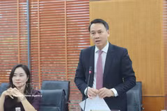 Doan Duc Hao, directeur du Département des affaires de la jeunesse et de l'égalité des sexes du ministère de l’Intérieur, s'exprime à la séance de travail avec la délégation sud-coréenne. Photo: VNA