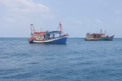 Ca Mau compte actuellement plus de 5 200 navires de pêche, dont près de 1 900 de plus de 15 mètres. Photo: VNA