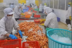 Standard Chartered prévoit une croissance de 6,7 % pour le Vietnam en 2025. Photo: VietnamPlus
