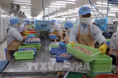 De nombreuses entreprises singapouriennes considèrent désormais le Vietnam comme une source d’approvisionnement fiable de produits aquatiques. Photo: VNA
