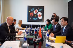 Nguyen Duy Ngoc, membre du Bureau politique, secrétaire du Comité central du PCV et président de la Commission d'organisation du Comité central du PCV, et le vice-Premier ministre russe, Dmitry Chernyshenko, lors de leur séance de travail le 10 septembre. Photo: VNA