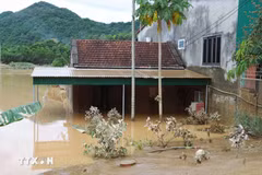 Les fortes pluies prolongées dues au typhon Wipha ont entraîné de graves inondations et glissements de terrain à Nghê An, causant d'importantes pertes humaines et matérielles. Photo: VNA