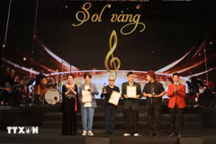 Des musiciens honorés par les Prix Sol vang. Photo: VNA