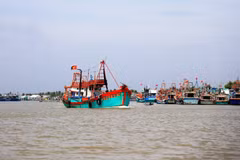 En 2024, la province de Tiên Giang a enregistré une production halieutique de plus de 10.000 tonnes. Photo: VNA