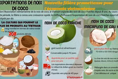 Exportations de noix de coco, nouvelle filière prometteuse pour l'économie vietnamienne