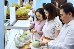 La traçabilité des produits s’impose progressivement comme un outil clé pour protéger les marchandises vietnamiennes à l’exportation. Photo: VNA