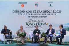 Ouverture du Forum international de l’économie du thé 2026 à Thai Nguyen. Photo: VNA