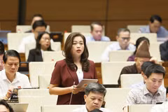 La députée Doan Thi Le An, de la province de Cao Bang, s'exprime. Photo: VNA