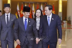 Le président de l'Assemblée nationale Trân Thanh Mân (droite) et le Sultan de Brunei. Photo: VNA