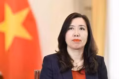 La vice-ministre des Affaires étrangères, Le Thi Thu Hang. Photo: VNA