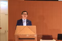 Le vice-ministre de la Santé, Trân Van Thuân à la 78e Assemblée mondiale de la Santé. Photo: VNA