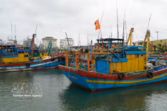 Gia Lai mise sur une pêche durable et une aquaculture high-tech. Photo: VNA