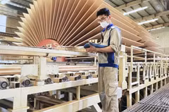 Les exportations de bois et de produits dérivés ont atteint 8,54 milliards de dollars au premier semestre, soit une progression de 4,4 % sur un an. Photo: VNA