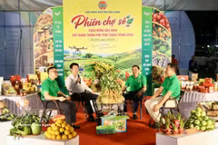 Livestream de la province de Bac Ninh. Photo: VNA