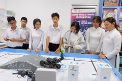 Le Vietnam met actuellement l’accent sur une stratégie de développement de ressources humaines de haute qualité dans les secteurs STEM. Photo: VNA