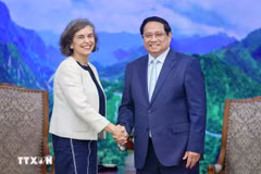 Le Premier ministre Pham Minh Chinh reçoit l'ambassadrice d'Espagne au Vietnam, Carmen Cano De Lasala. Photo: VNA