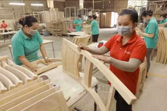 Les exportations vietnamiennes de produits agricoles, sylvicoles et aquatiques sont estimées à 45,37 milliards de dollars sur les huit premiers mois de 2025. Photo: VNA