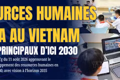 RESSOURCES HUMAINES EN IA AU VIETNAM 