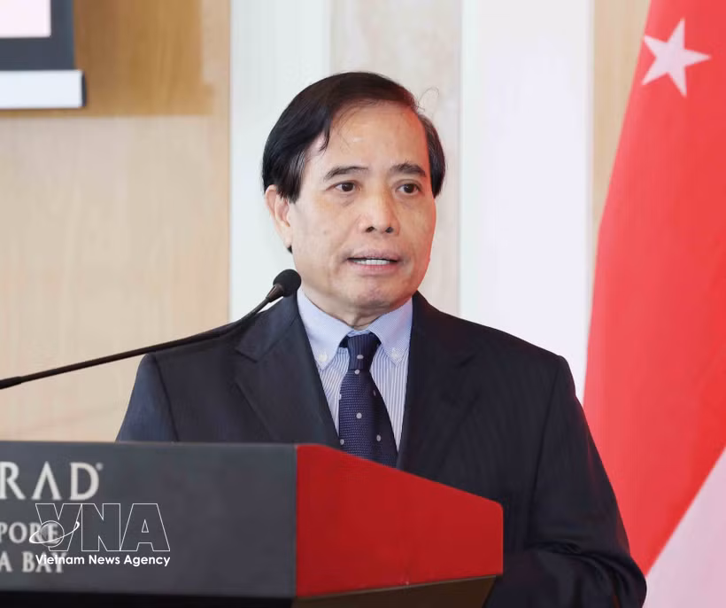 Le professeur Vu Minh Khuong, de l’Université nationale de Singapour. Photo: VNA