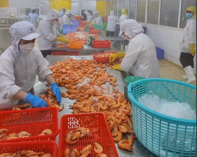 Standard Chartered prévoit une croissance de 6,7 % pour le Vietnam en 2025. Photo: VietnamPlus