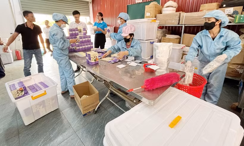 Modèle de startup de Lanh Thi Xuyen, dans la commune de Tien Luc, crée de nombreux emplois pour les femmes locales. Photo: https://baobacninhtv.vn/